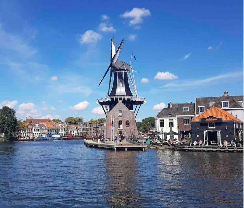 Appartement Met Tuin In Haarlem Centrum Ngoại thất bức ảnh