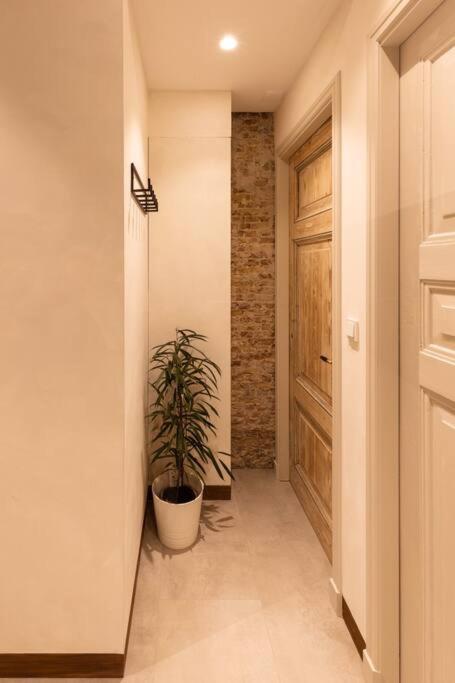 Appartement Met Tuin In Haarlem Centrum Ngoại thất bức ảnh